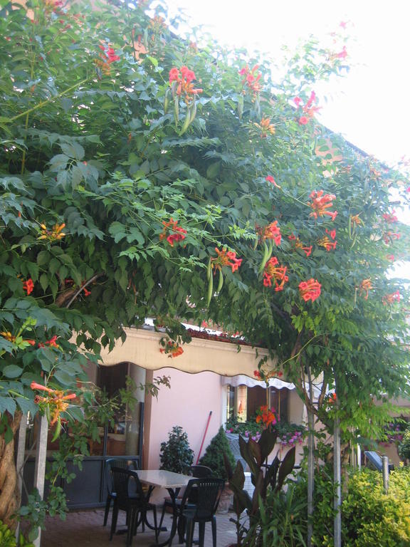Albergo Ristorante Sterlina Grizzana Rom bilde